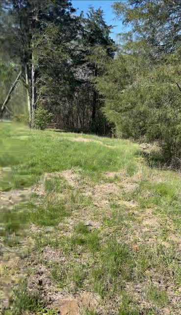 139 Angels Cove Lane Lebanon, TN 37087 - Photo 4 of 6 a view of yard with green space