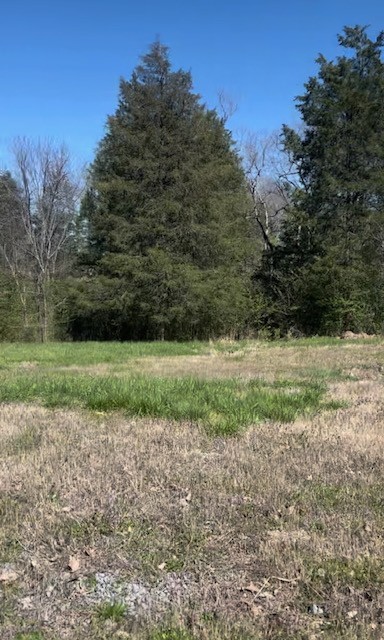 139 Angels Cove Lane Lebanon, TN 37087 - Photo 5 of 6 a view of a field