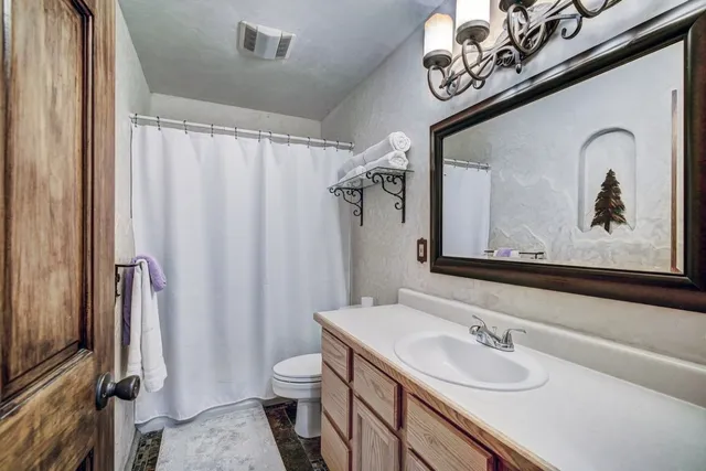 a bathroom with a sink a toilet and a mirror