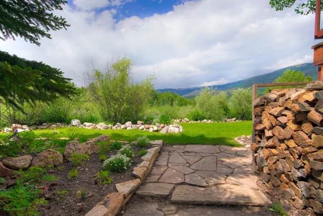 a view of a garden with plants and large trees