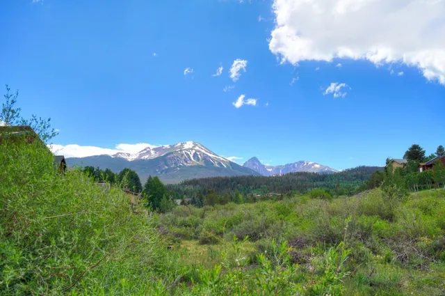 a view of a lush green forest with mountains in the background