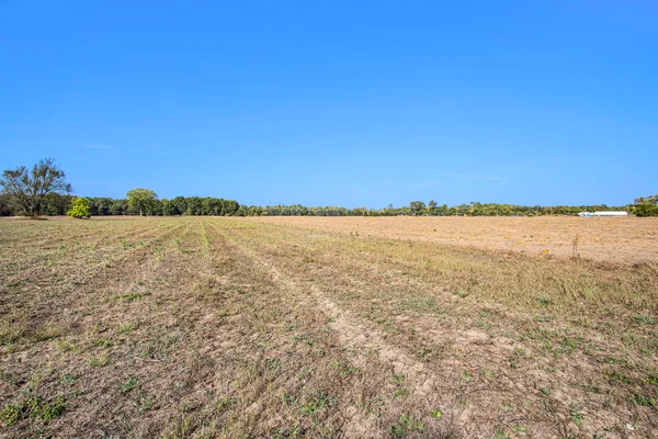 $400,000 | 3308 Monroe Road, Unit LOT C 25 74 ACRES, Hart, MI 49420