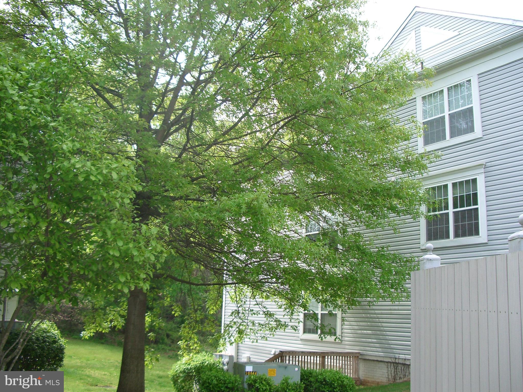 2050 Quaker Way, Unit 5 Annapolis, MD 21401 - Photo 2 of 18