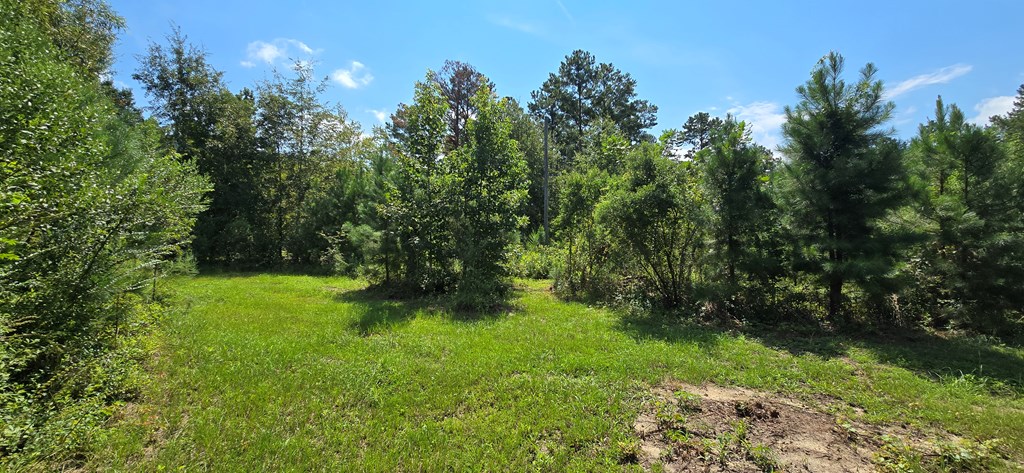 4739 Wallace Buie Road Columbia, AL 36319 - Photo 35 of 54