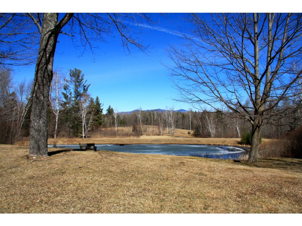 583 Cy Parker Road Mount Holly, VT 05742 - Photo 36 of 36