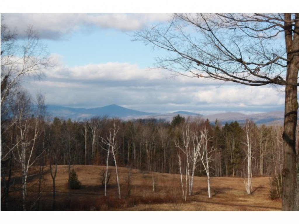 583 Cy Parker Road Mount Holly, VT 05742 - Photo 7 of 36