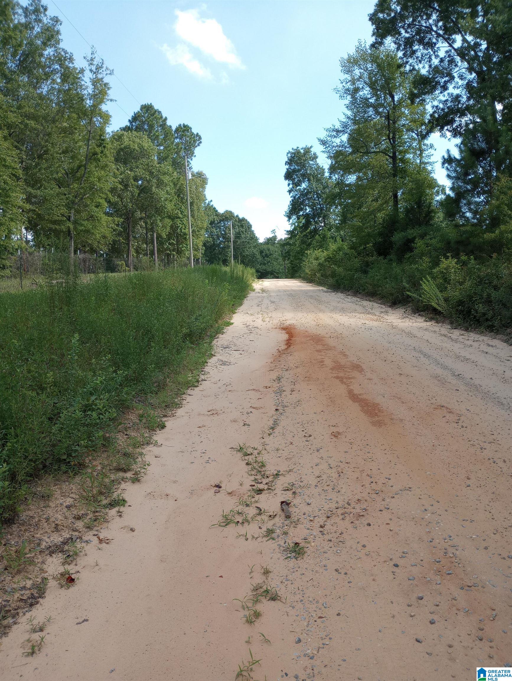 195 Hyram Road Seale, AL 36875 - Photo 4 of 4