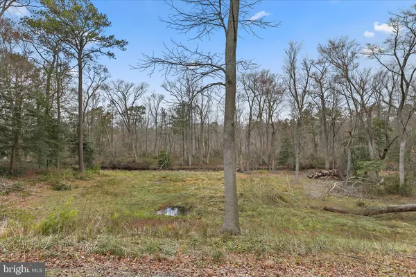 $1,200,000 | 31915 Elizabeth Drive, Dagsboro, DE 19939