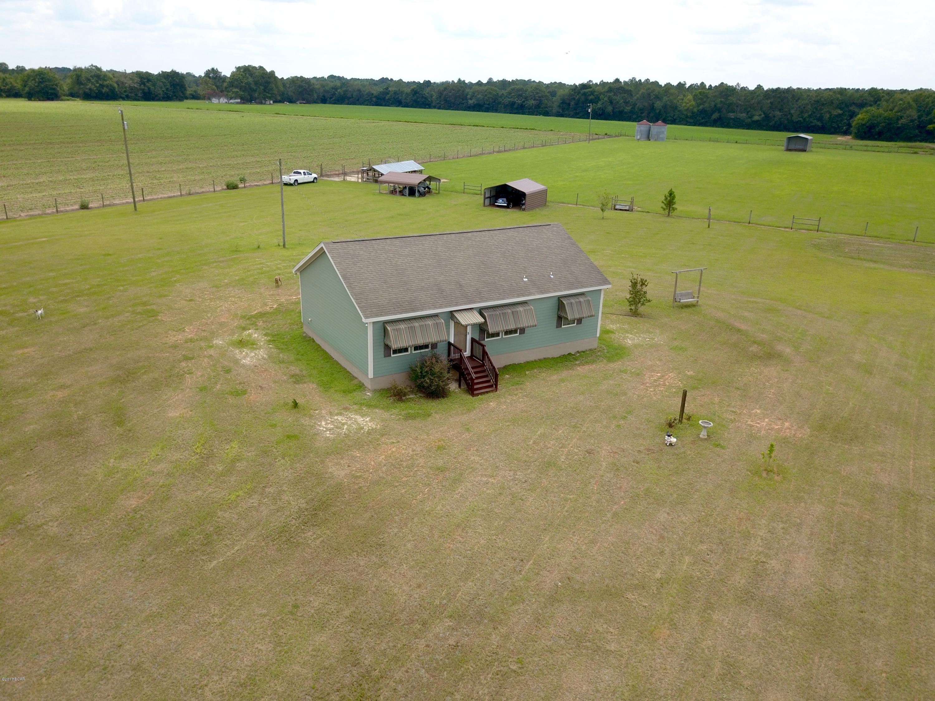 17309 Northeast Mount Olive Cemt Road Altha, FL 32421 - Photo 3 of 27 Gallery Image 3