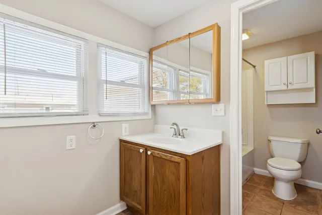 a bathroom with a sink a toilet and a mirror