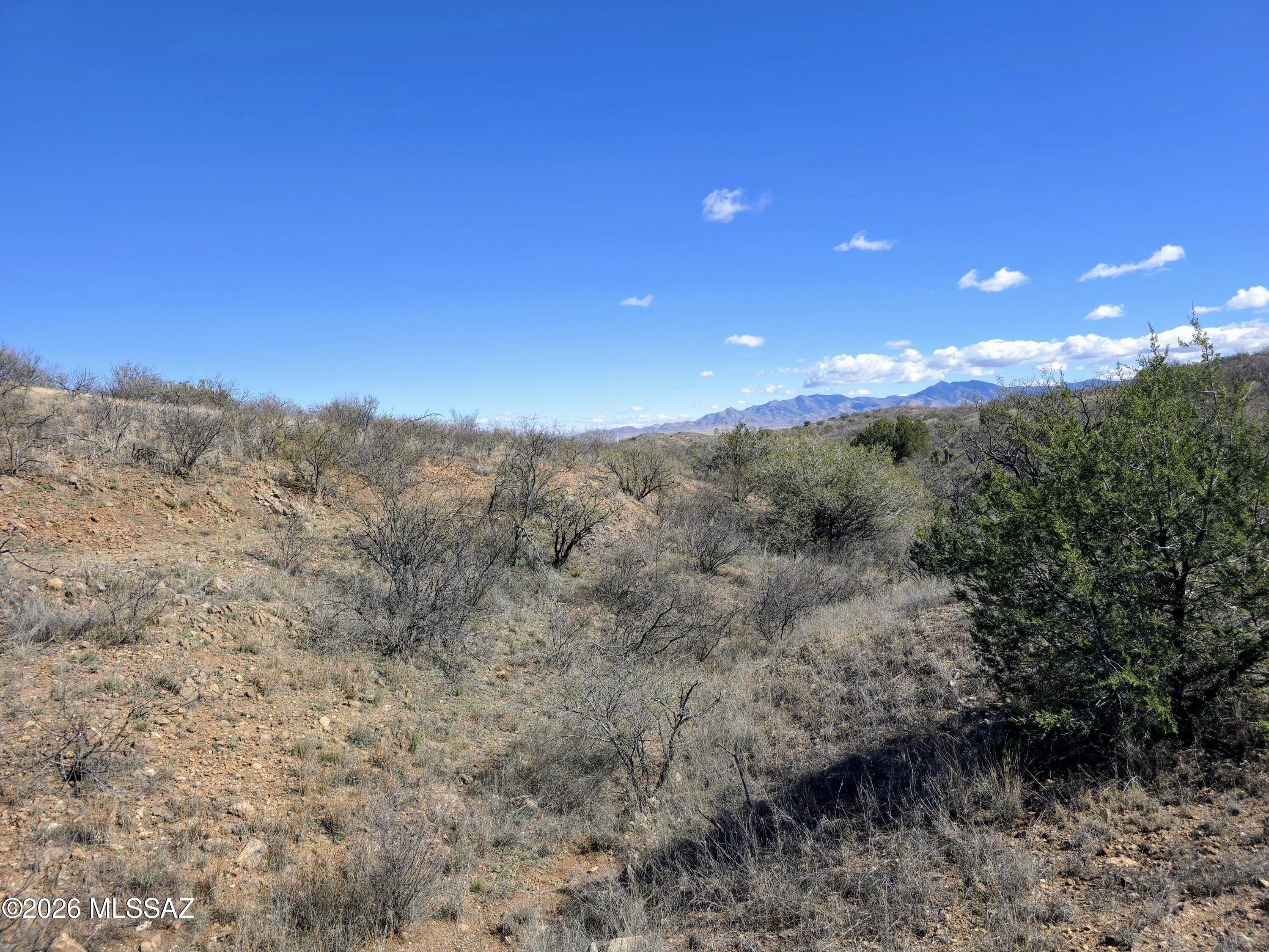 22200-blk South Red Cloud Mine Road South Vail, AZ 85641 - Photo 4 of 9