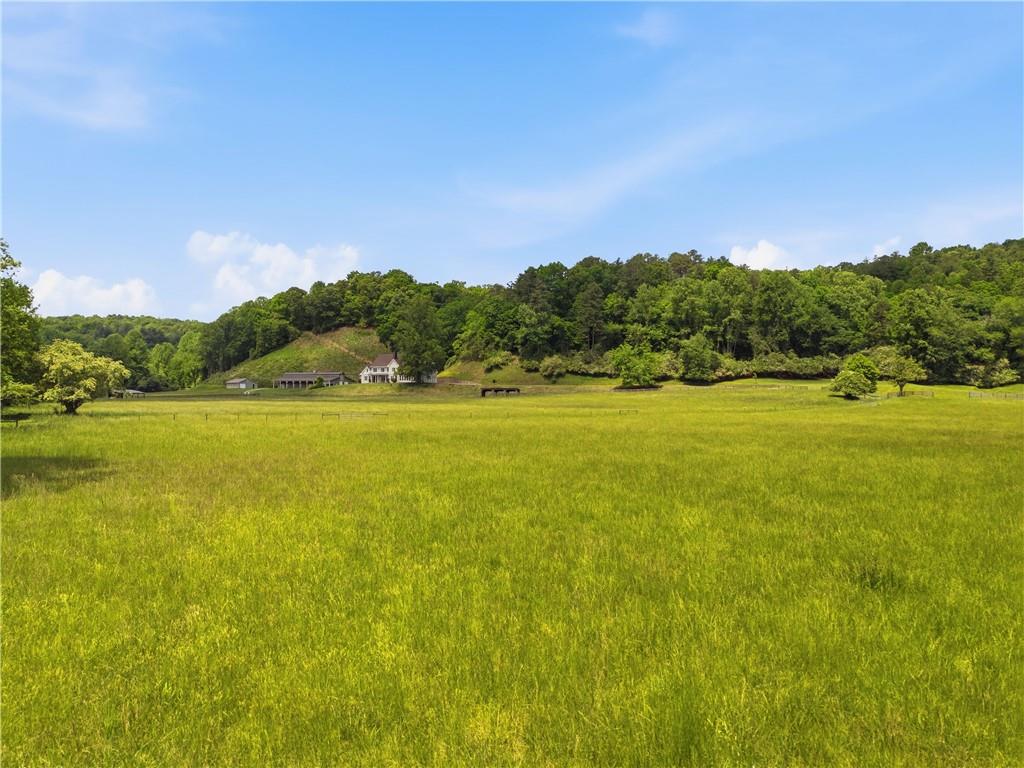 619 Hamp Mill Road Dahlonega, GA 30533 - Photo 107 of 118