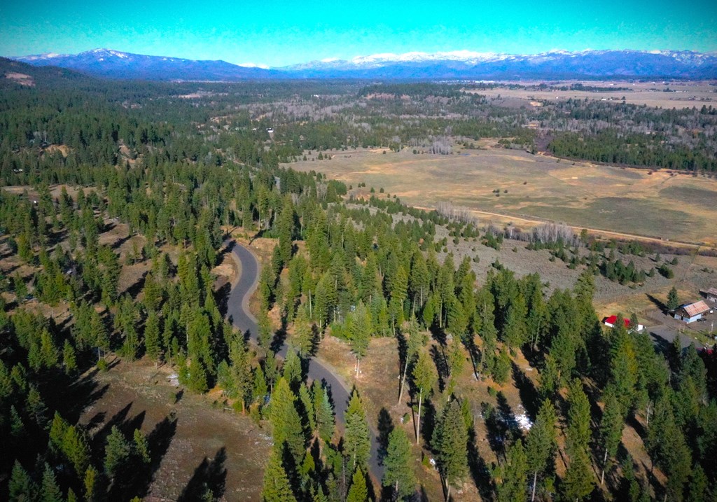 Lot 3 Bella View Drive, Unit 3 McCall, ID 83638 - Photo 12 of 44