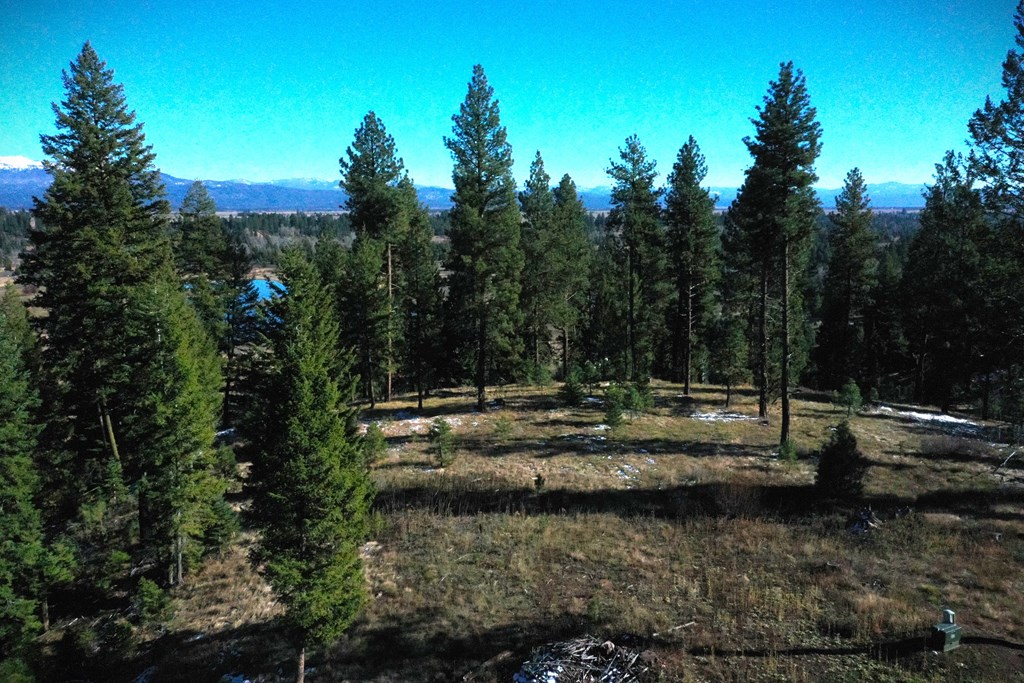 Lot 3 Bella View Drive, Unit 3 McCall, ID 83638 - Photo 2 of 44