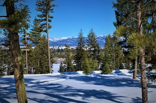 $395,000 | Lot 3 Bella View Drive, Unit 3, McCall, ID 83638