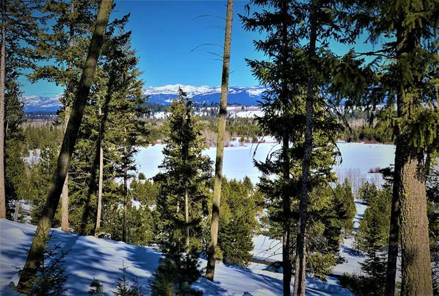 $395,000 | Lot 3 Bella View Drive, Unit 3, McCall, ID 83638