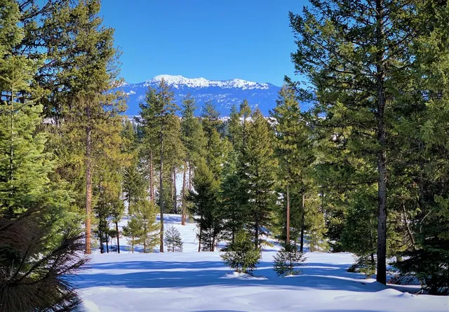 $395,000 | Lot 3 Bella View Drive, Unit 3, McCall, ID 83638