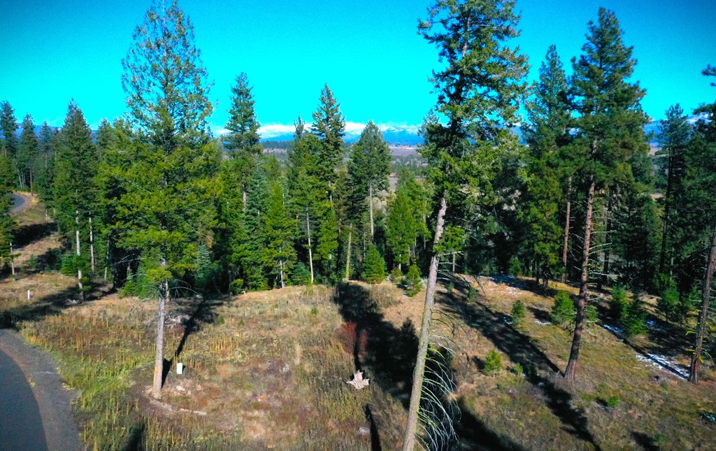 Lot 3 Bella View Drive, Unit 3 McCall, ID 83638 - Photo 10 of 44