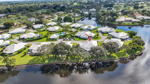 a view of a lake with a tree
