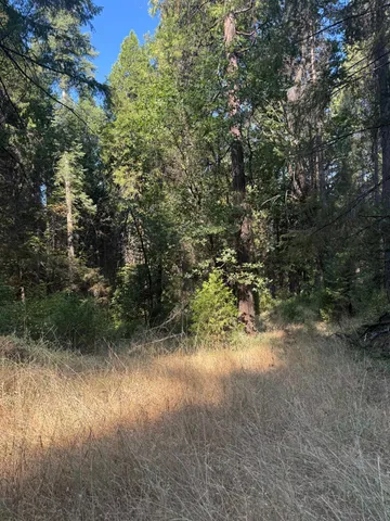 a view of a lake with top of house
