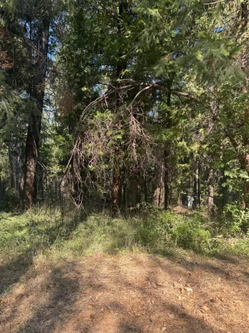 $85,000 | 4920 Arctic Lane, Grizzly Flats, CA 95636