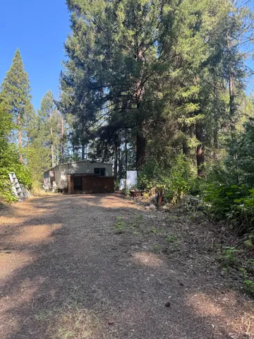 a view of street with large trees
