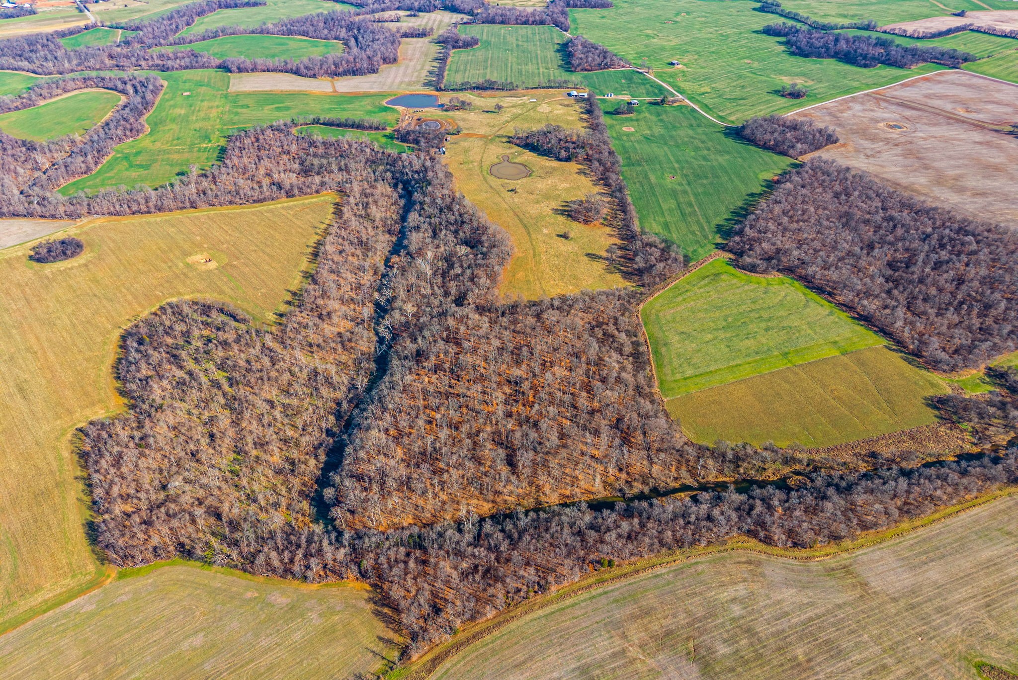 1046 East Tutt Road Pembroke, KY 42286 - Photo 11 of 41