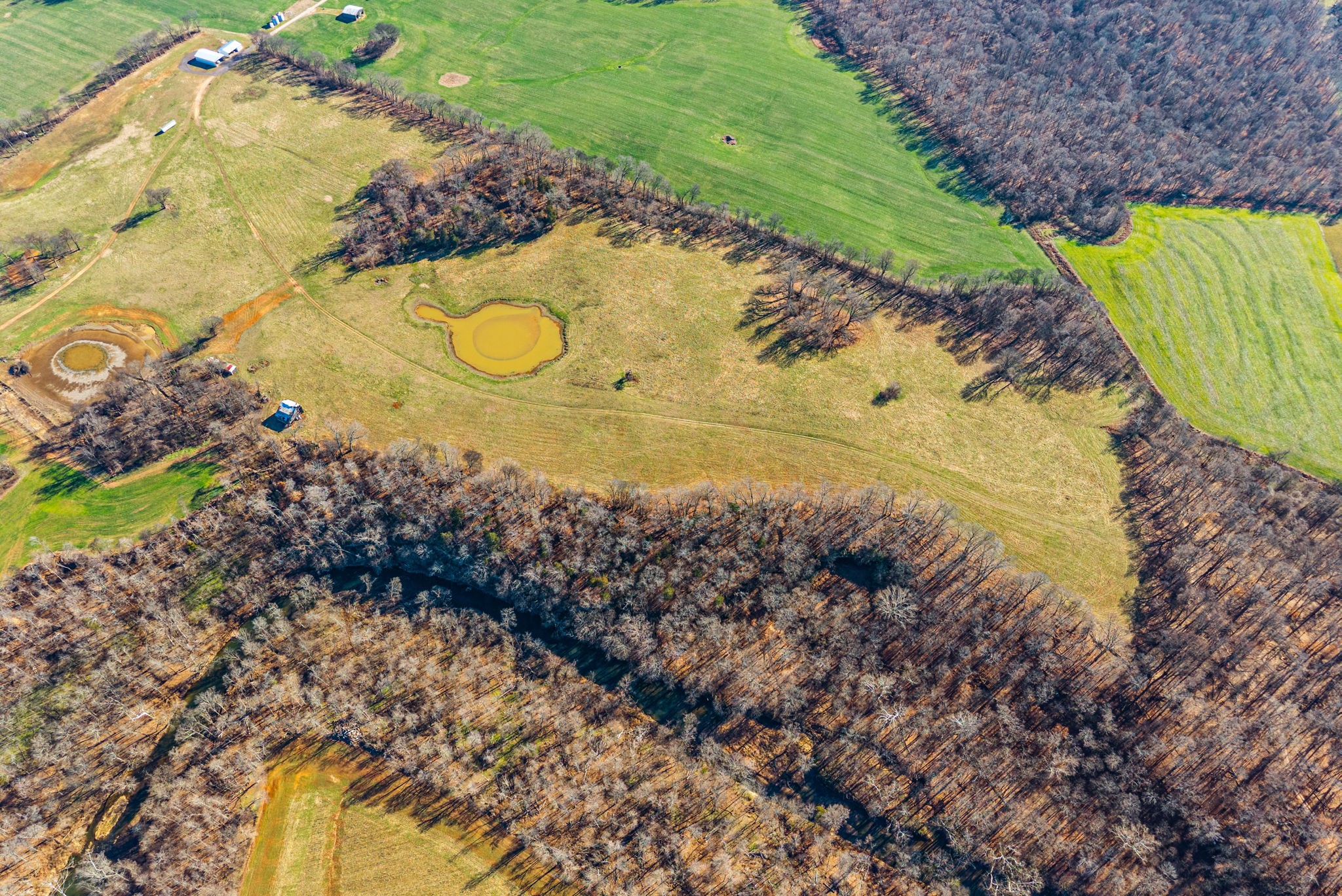 1046 East Tutt Road Pembroke, KY 42286 - Photo 12 of 41