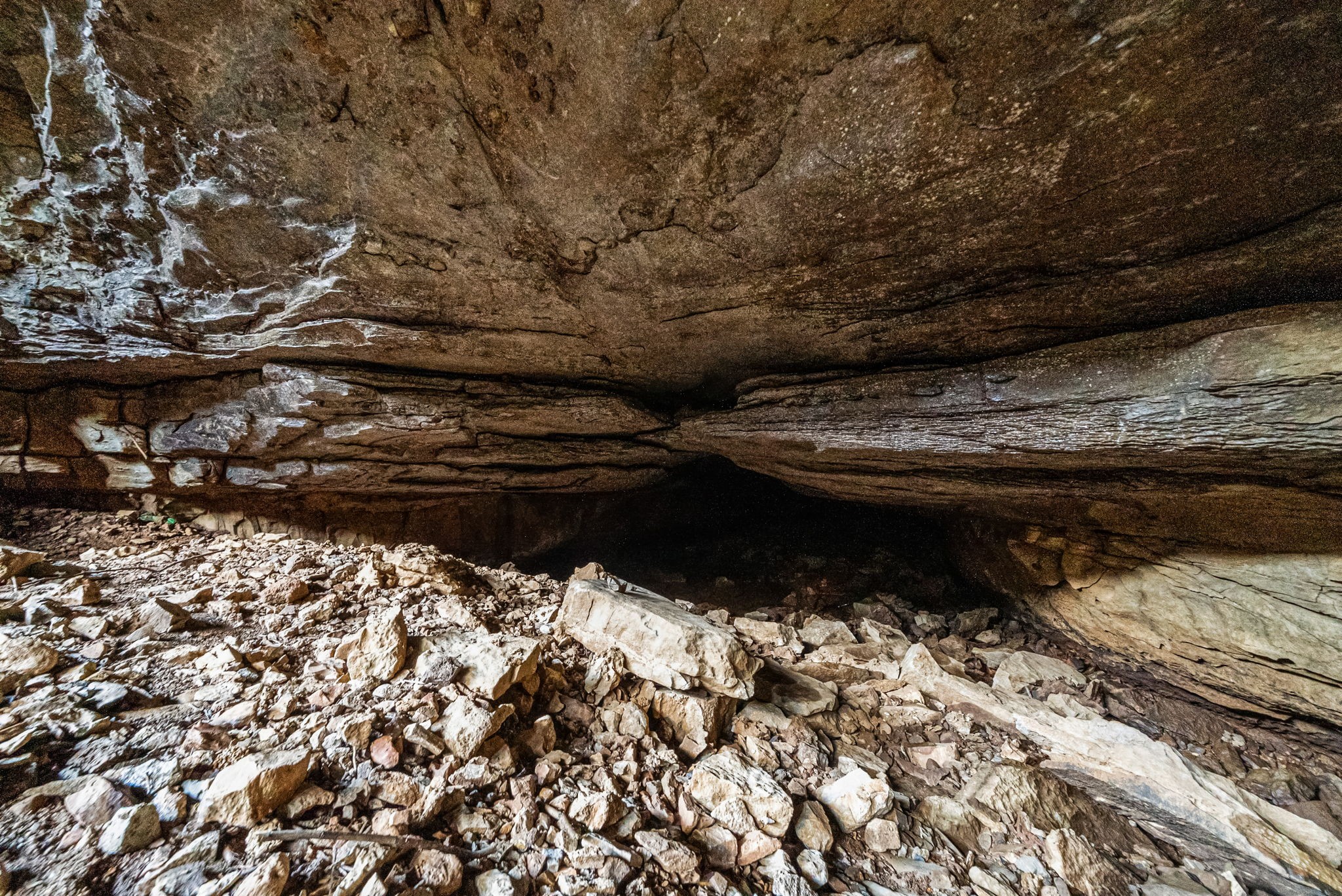 1046 East Tutt Road Pembroke, KY 42286 - Photo 20 of 41