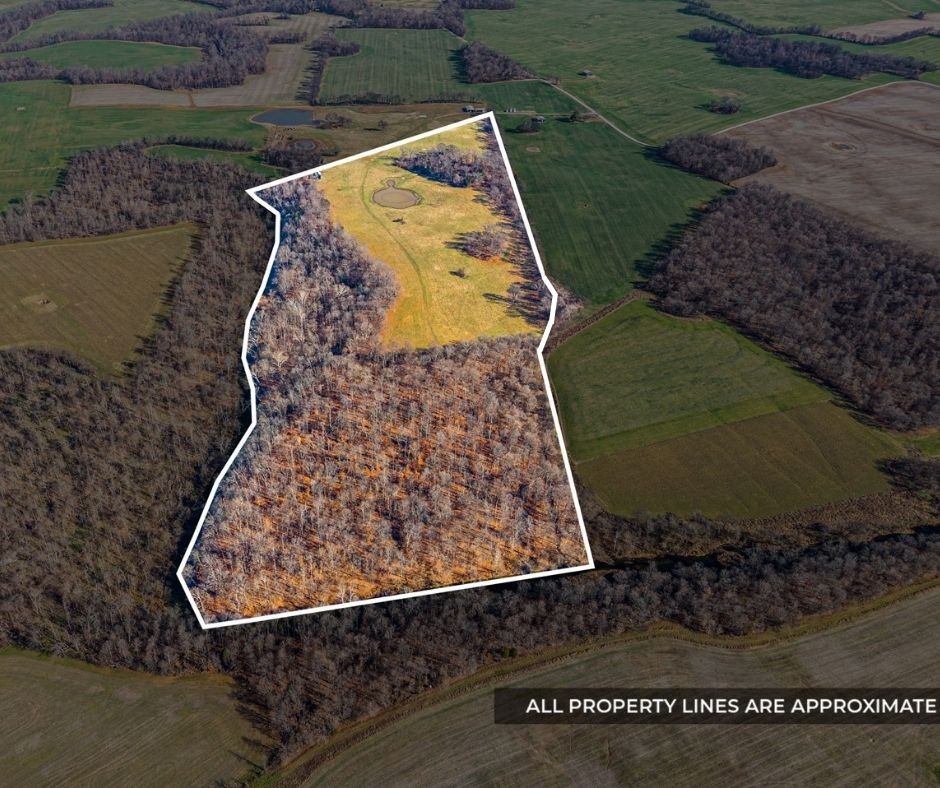 1046 East Tutt Road Pembroke, KY 42286 - Photo 2 of 41 a view of a bird bath