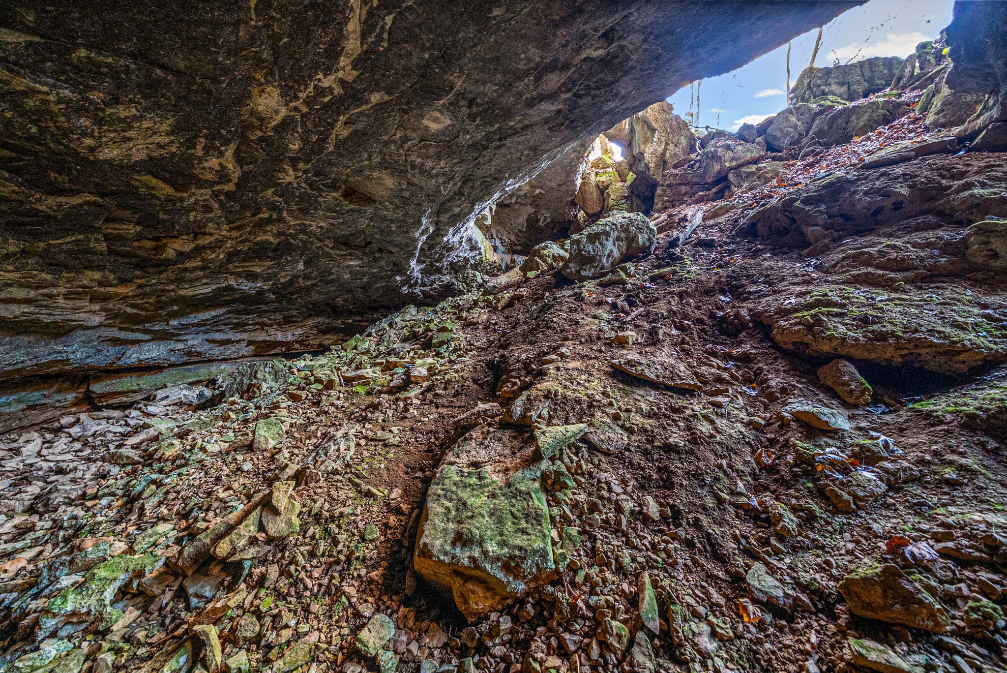 1046 East Tutt Road Pembroke, KY 42286 - Photo 21 of 41