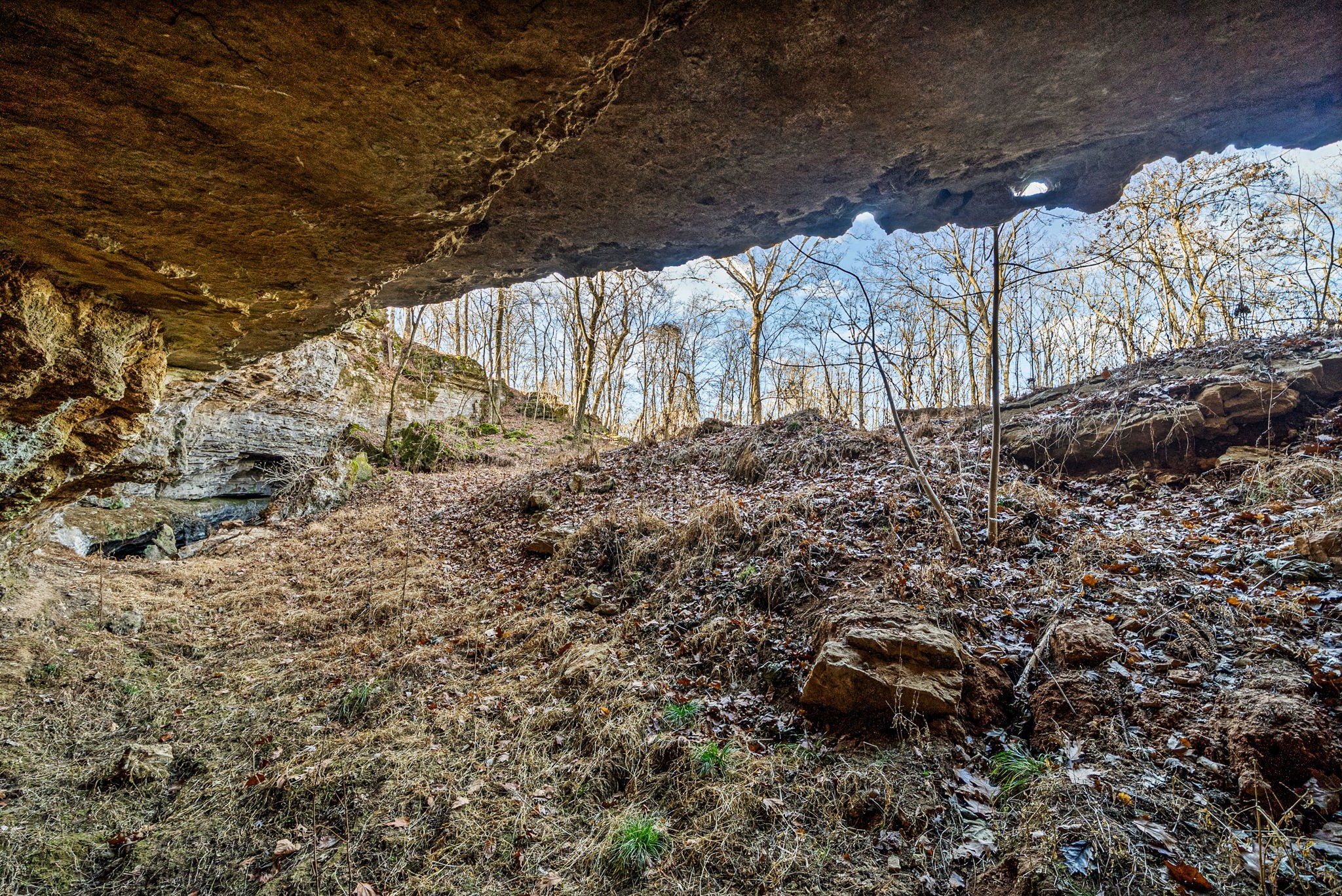 1046 East Tutt Road Pembroke, KY 42286 - Photo 23 of 41 a view of a backyard of the house