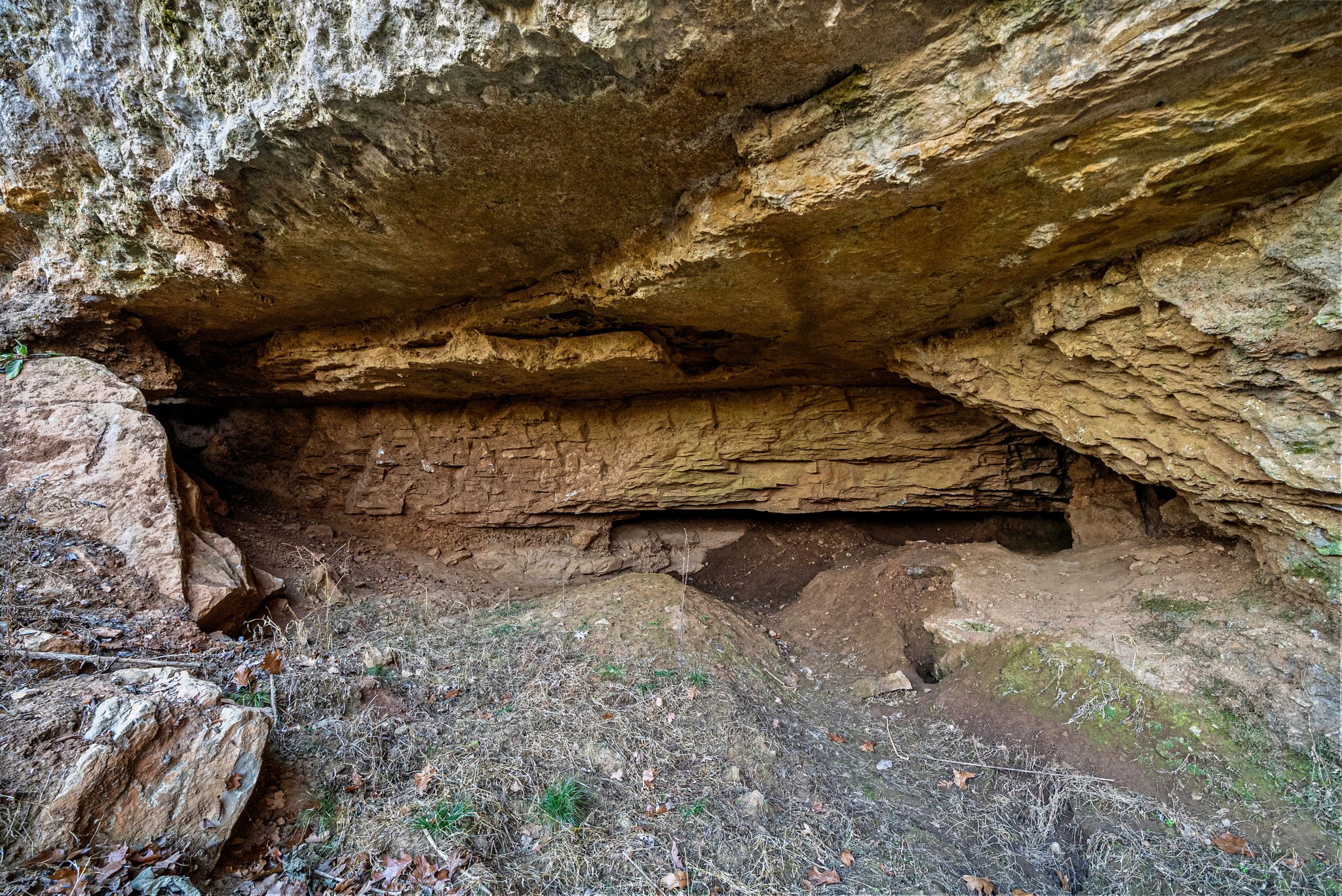 1046 East Tutt Road Pembroke, KY 42286 - Photo 24 of 41 a view of water fountain with large trees