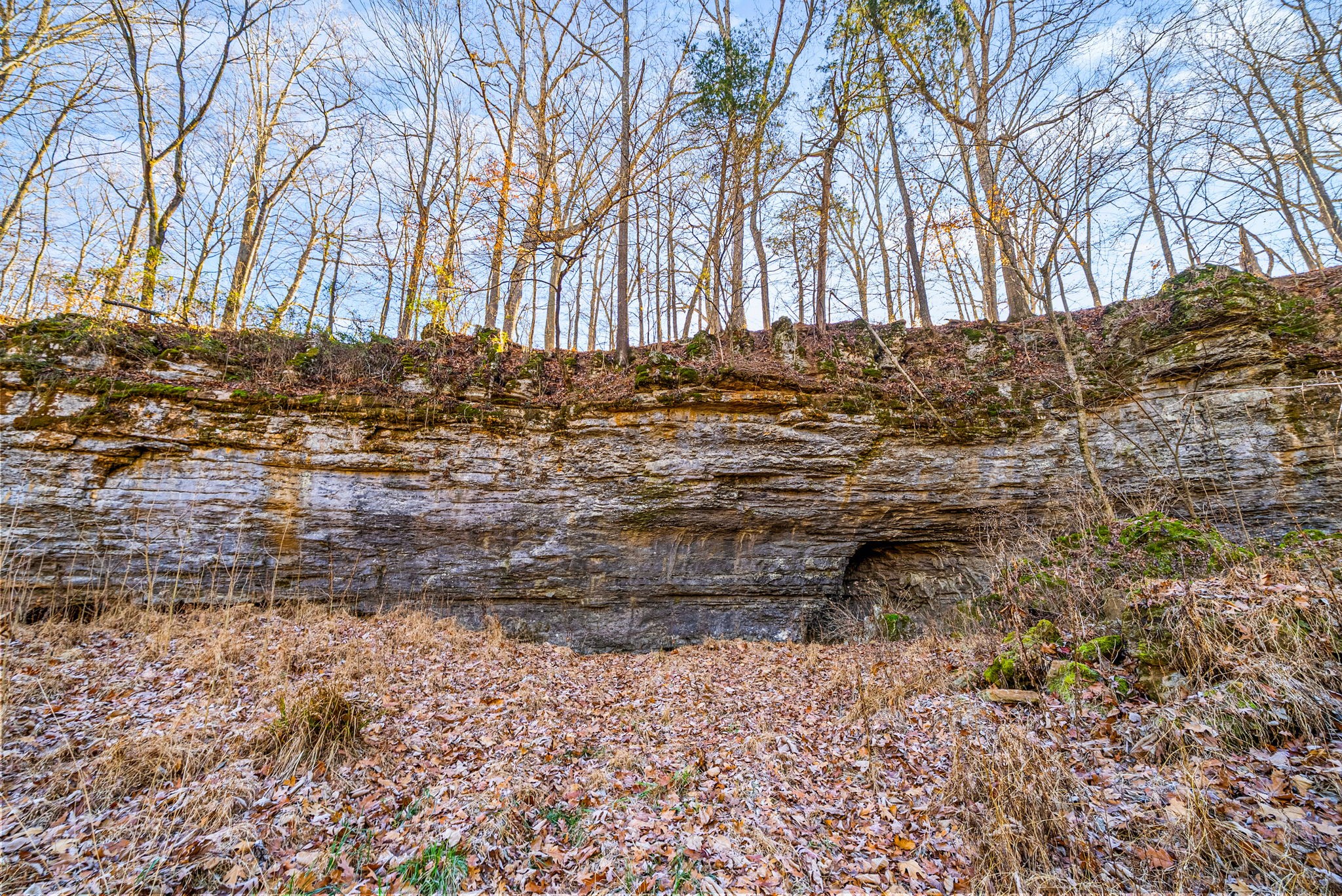 1046 East Tutt Road Pembroke, KY 42286 - Photo 25 of 41 a view of a yard with wooden fence