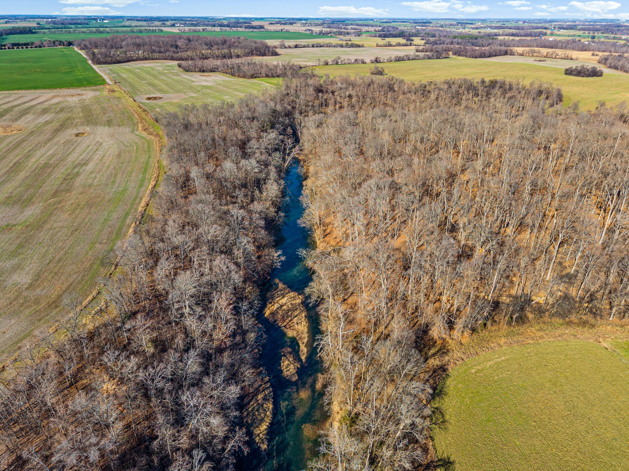 1046 East Tutt Road Pembroke, KY 42286 - Photo 26 of 41 a view of a lake with beach and large trees