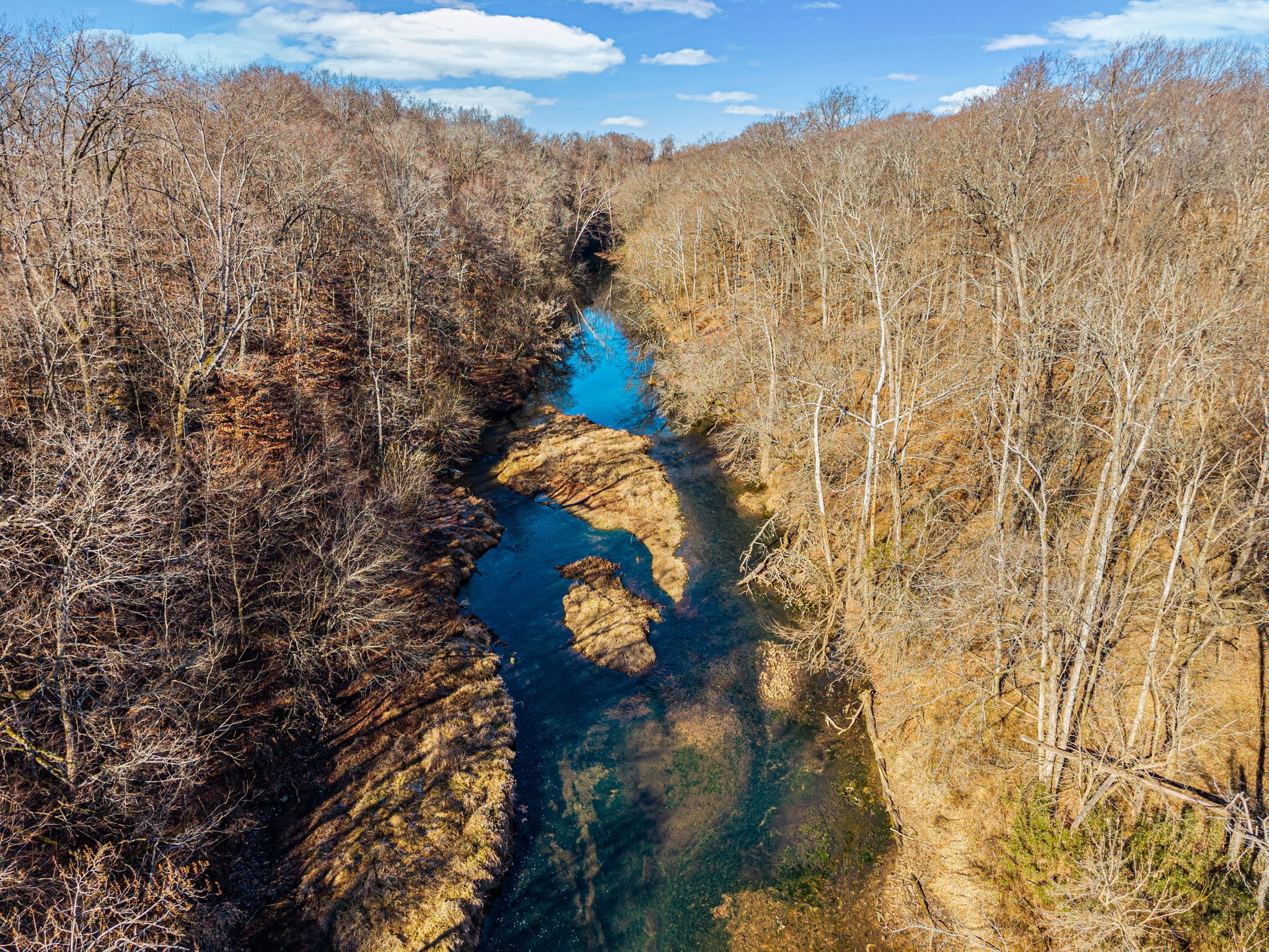 1046 East Tutt Road Pembroke, KY 42286 - Photo 27 of 41 a view of a tree in a yard