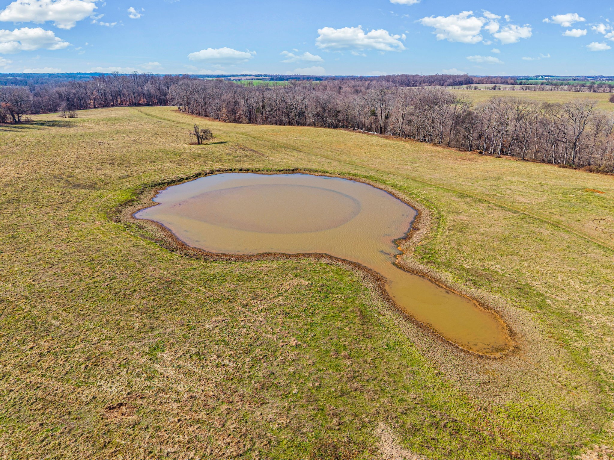 1046 East Tutt Road Pembroke, KY 42286 - Photo 31 of 41 a view of a swimming pool and an outdoor space