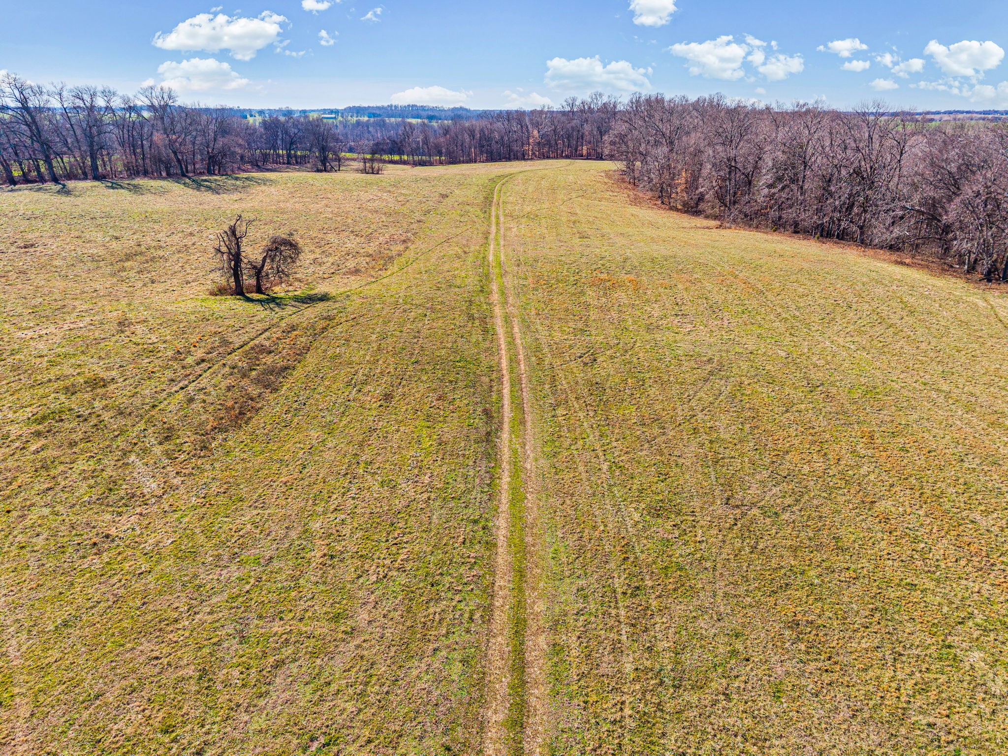 1046 East Tutt Road Pembroke, KY 42286 - Photo 32 of 41