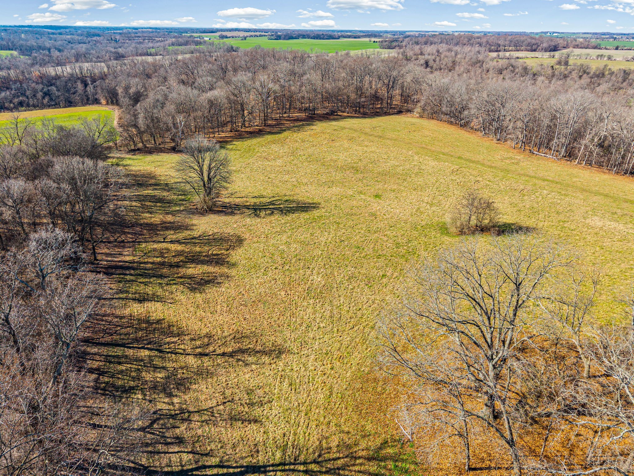 1046 East Tutt Road Pembroke, KY 42286 - Photo 33 of 41