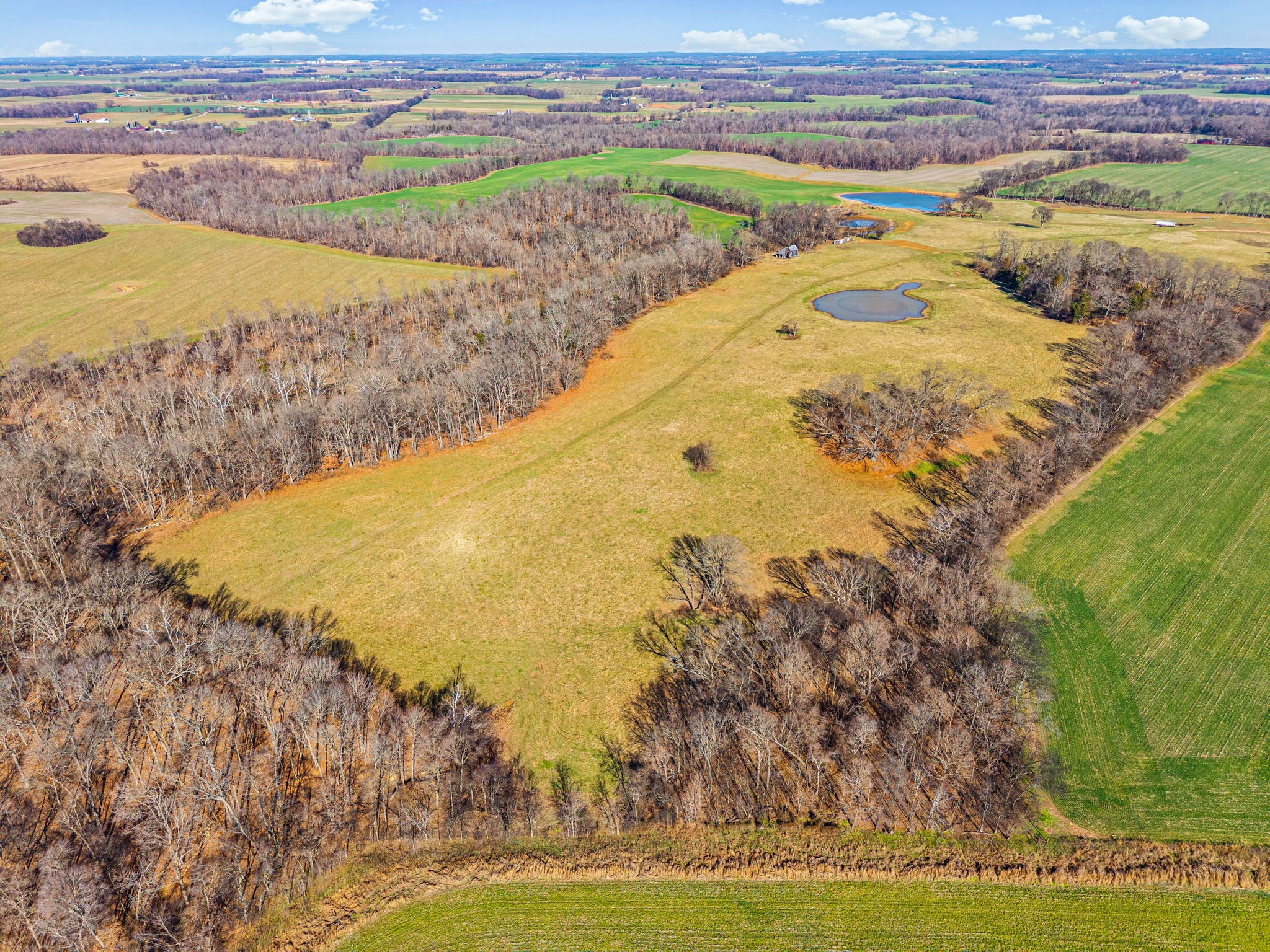 1046 East Tutt Road Pembroke, KY 42286 - Photo 34 of 41