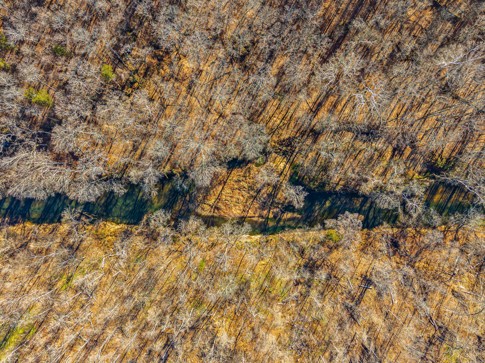 1046 East Tutt Road Pembroke, KY 42286 - Photo 35 of 41 a view of a yard