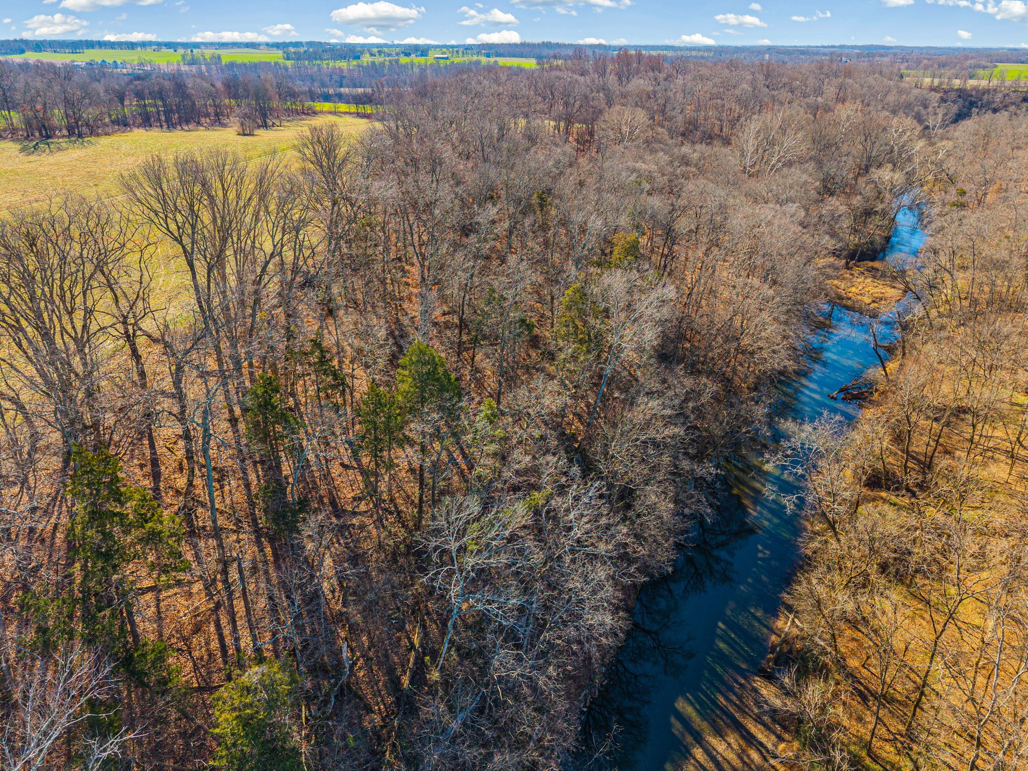 1046 East Tutt Road Pembroke, KY 42286 - Photo 39 of 41