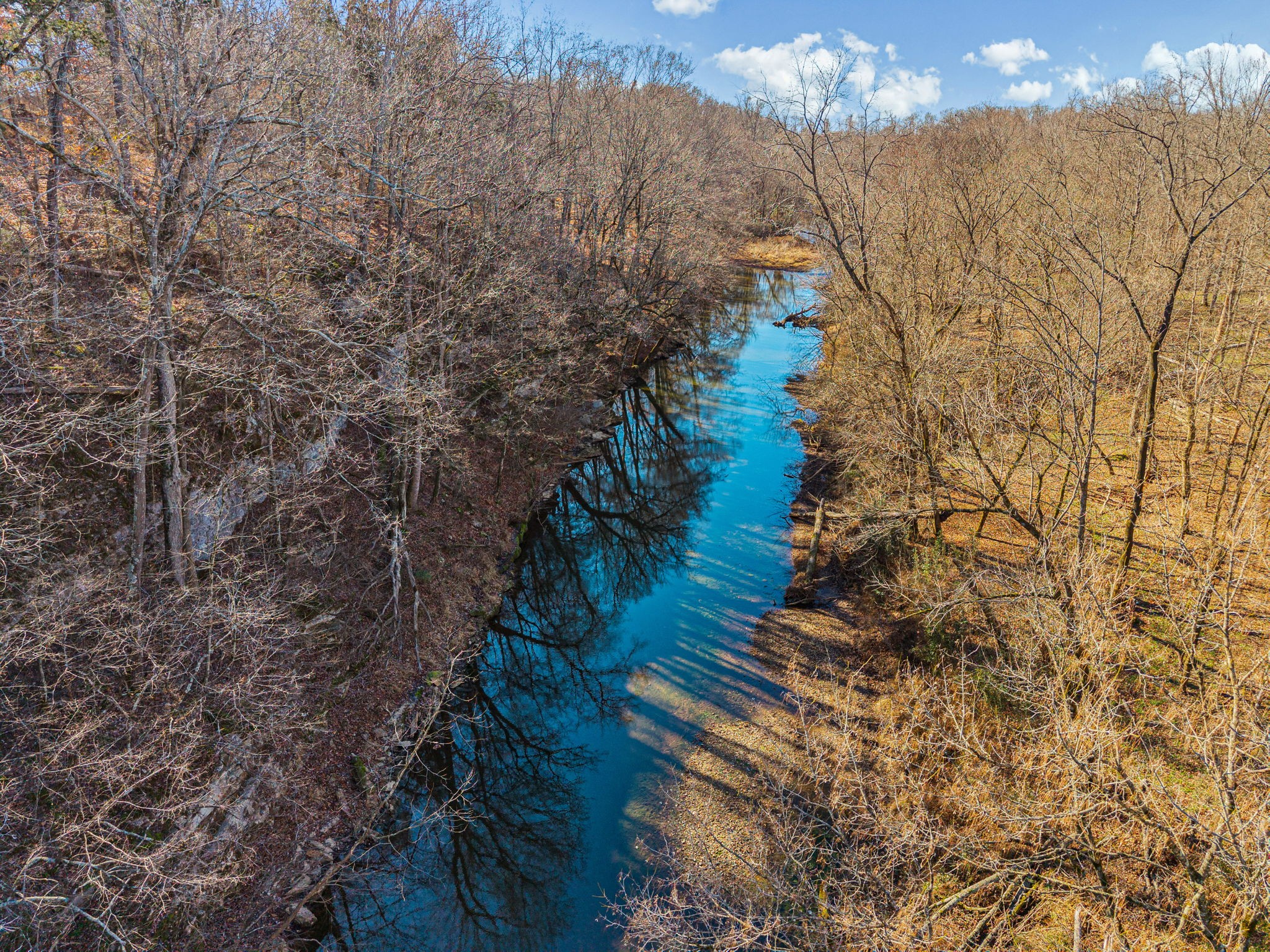 1046 East Tutt Road Pembroke, KY 42286 - Photo 40 of 41 a view of a yard with wooden fence