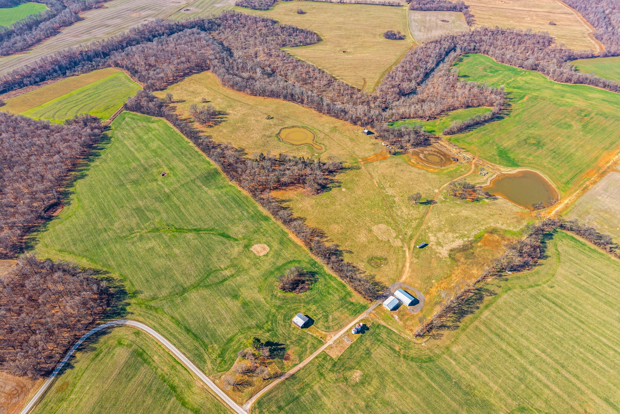 1046 East Tutt Road Pembroke, KY 42286 - Photo 4 of 41 a view of a swimming pool