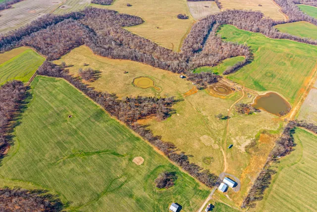 a view of a yard with an outdoor space