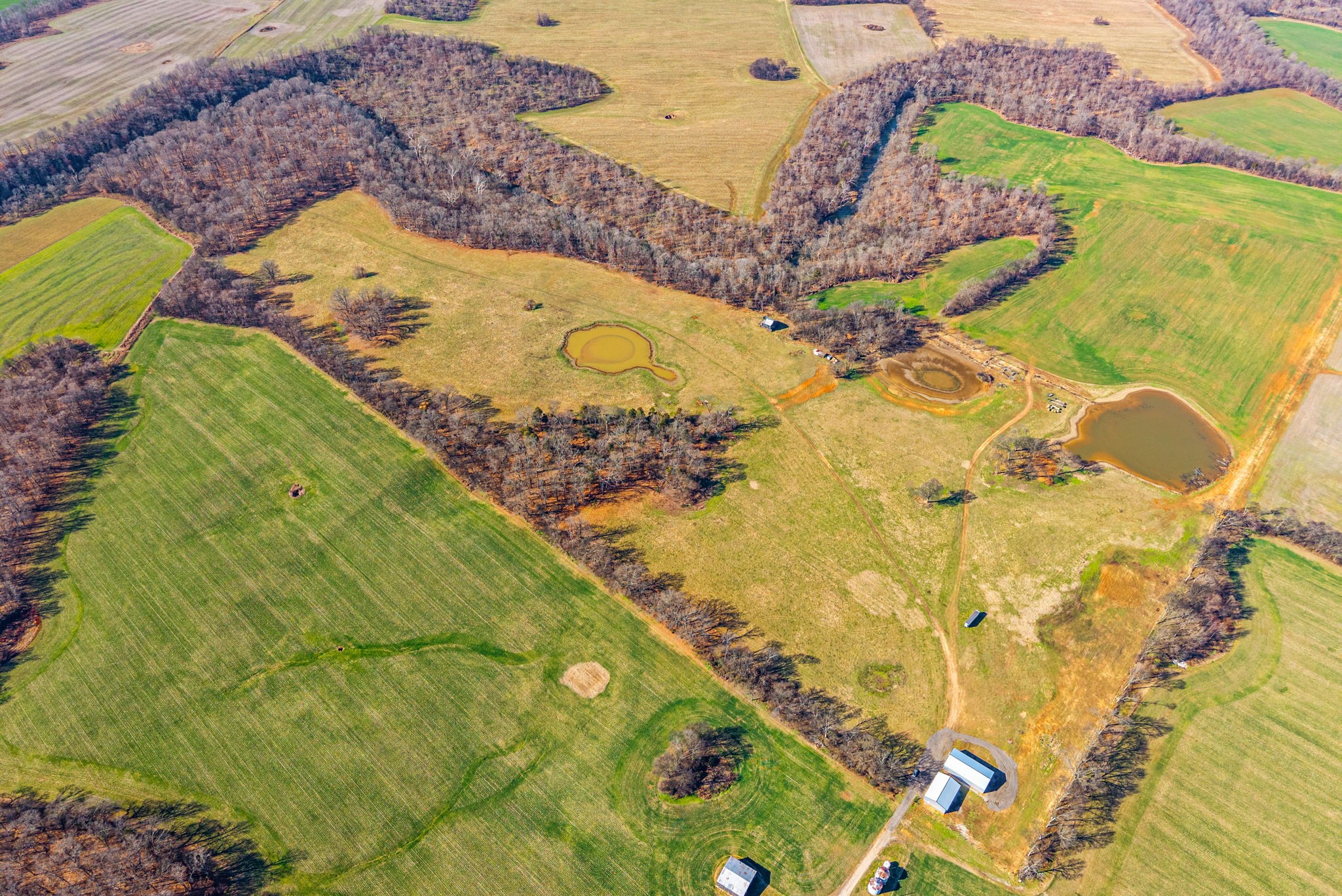 1046 East Tutt Road Pembroke, KY 42286 - Photo 5 of 41