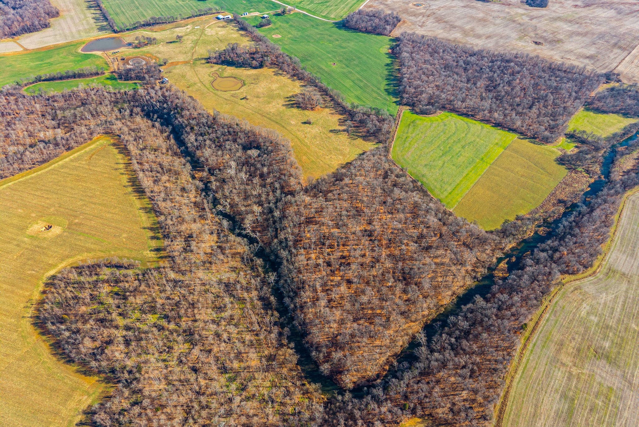 1046 East Tutt Road Pembroke, KY 42286 - Photo 6 of 41