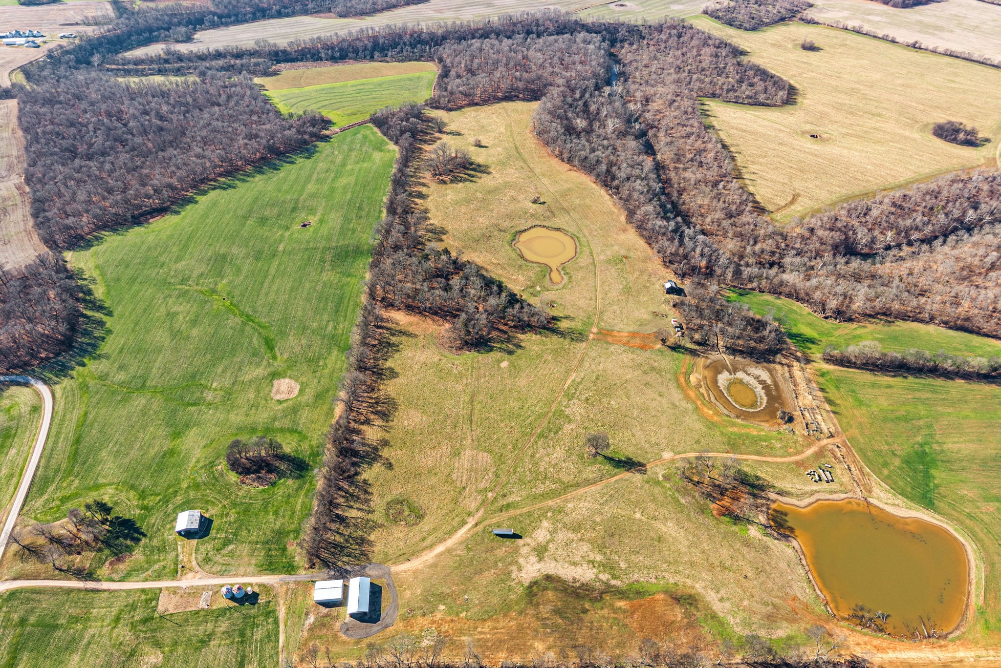 1046 East Tutt Road Pembroke, KY 42286 - Photo 7 of 41