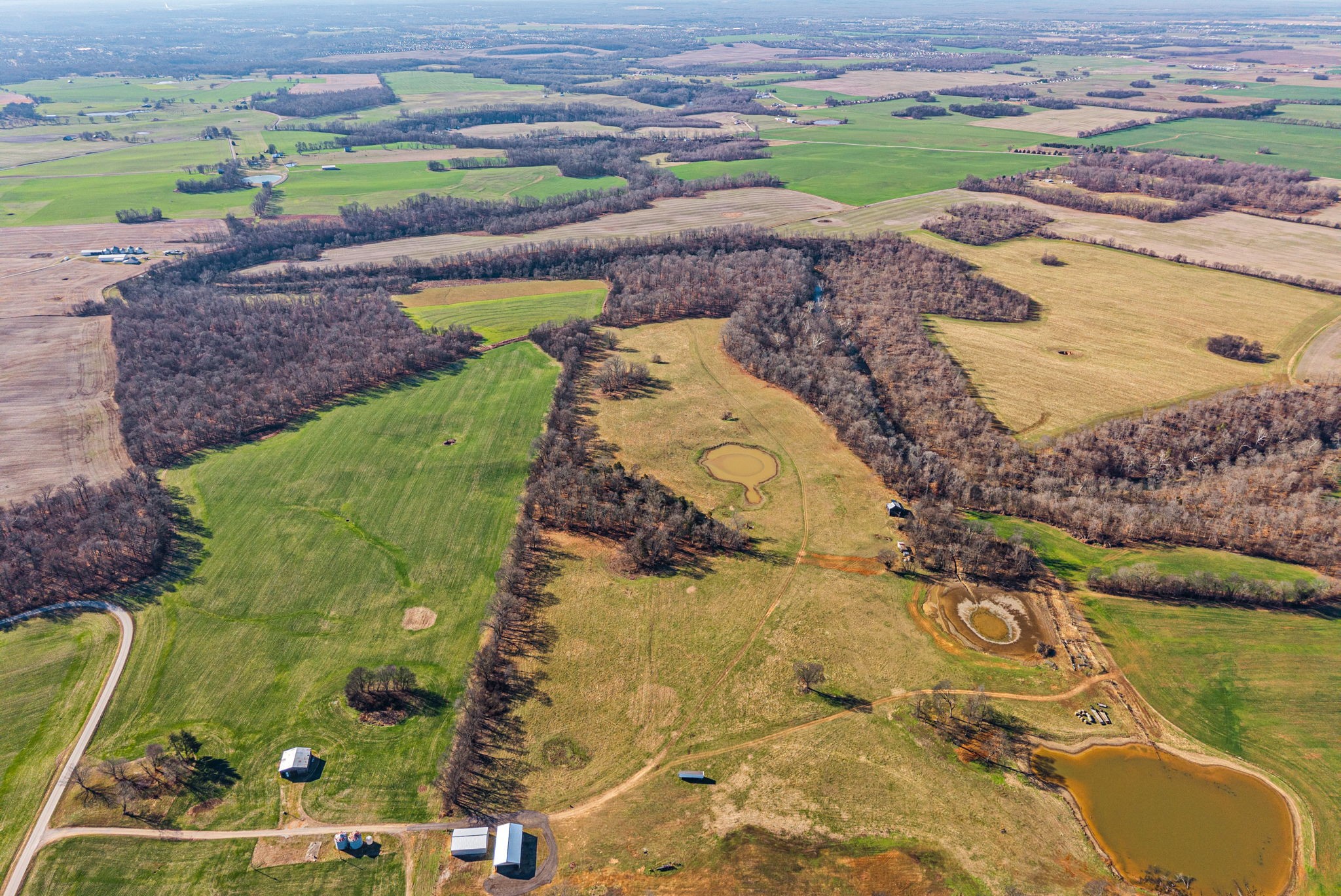 1046 East Tutt Road Pembroke, KY 42286 - Photo 8 of 41 a view of a yard with an outdoor space
