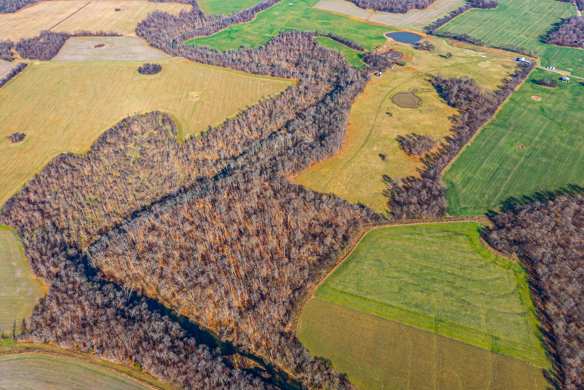 1046 East Tutt Road Pembroke, KY 42286 - Photo 9 of 41 a view of a swimming pool